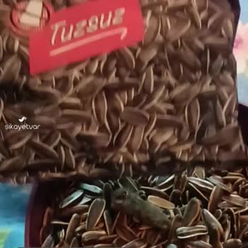 Çerezya Tuzsuz Çekirdek Faciası