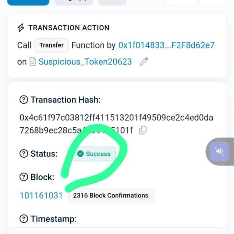 I Face a Missing Trust Wallet USDT Transfer on the BEP Network