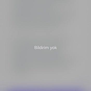 Mersin-Mardin Seferinde Otobüs Gecikmesi Ve Bilgi Eksikliği