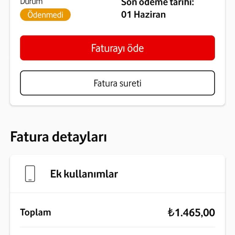 Hediye İnternet Paketi Tanımlanmadığı İçin 650 TL Aşım Ücretinin İptali Talebi