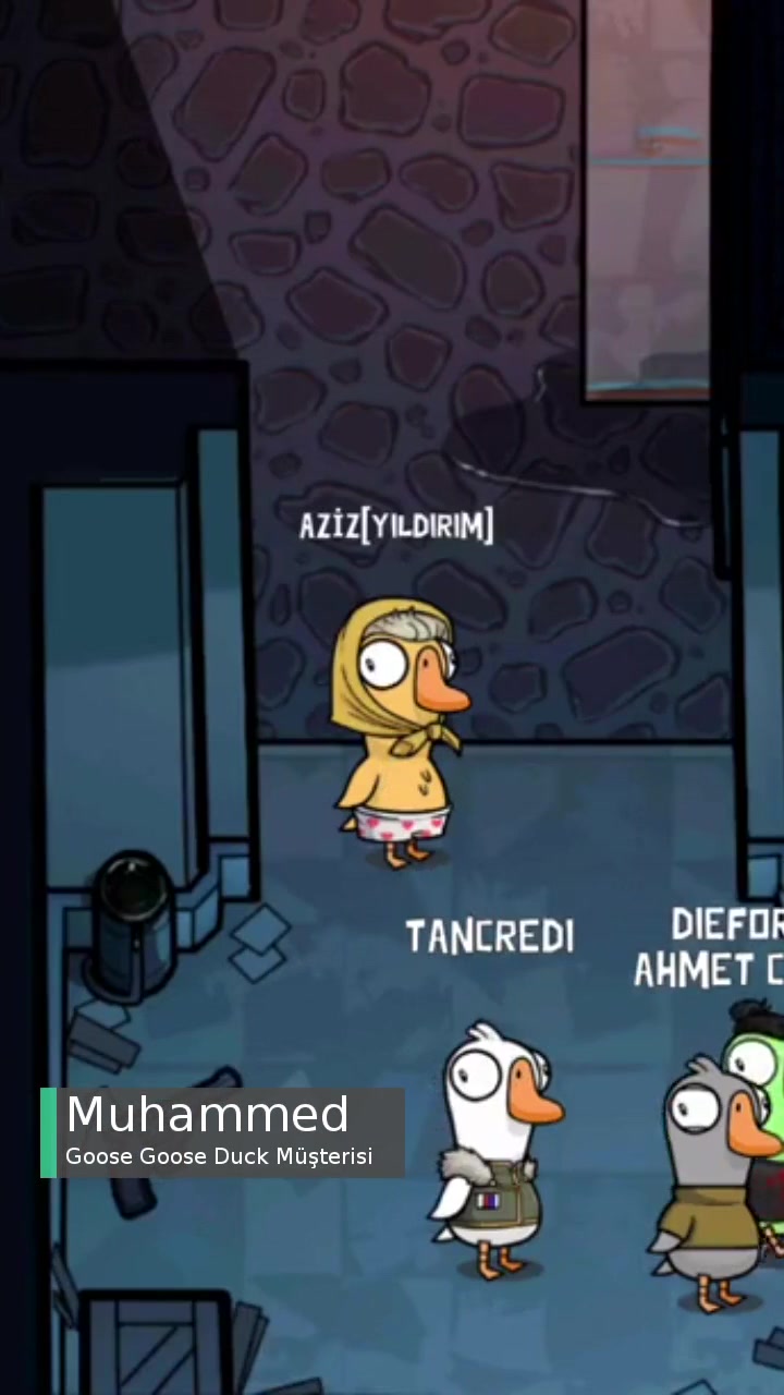 Goose Goose Duck Banlanması Gereken Şahıslar videonun kapak resmi