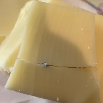 Kaşar Peynirinde Plastik Parça Bulundu