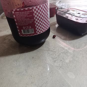 İlkgün Vişne Reçelinde Çekirdek Çıkması Diş Ve Protezleri Tehdit Ediyor