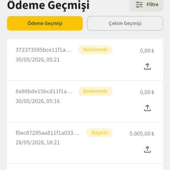 Yatırılan 8.558 TL Gecikmeli Geldi, Canlı Destek Erişilemiyor