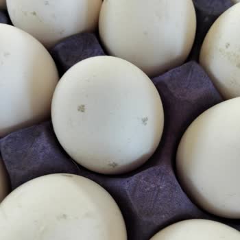 Keskinoğlu Markalı Yumurta Küflü Ve Sağlık Açısından Endişe Verici