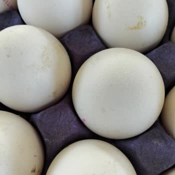 Keskinoğlu Markalı Yumurta Küflü Ve Sağlık Açısından Endişe Verici
