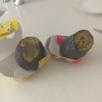Yemeye Hazır Avokadolar Çürük Çıktı Ve İade İle Özür Talebi