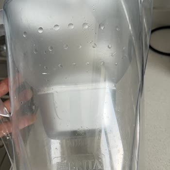 Brita Sürahisinde Sürekli Yosunlanma Ve Çözüm Talebi