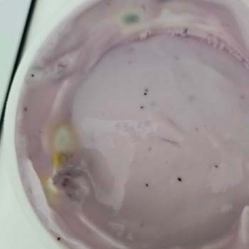 Küflü Sek Quark Ürünüyle Güvenim Sarsıldı