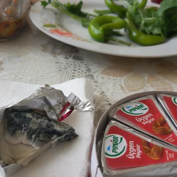 Pınar Yarım Yağlı Üçgen Peynirin Küflü Çıkması