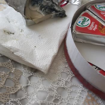Pınar Yarım Yağlı Üçgen Peynirin Küflü Çıkması