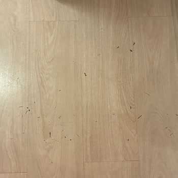 Vaat Edilen Oteller Ve Tur Programının Gerçekleşmemesi Nedeniyle Mağduriyet