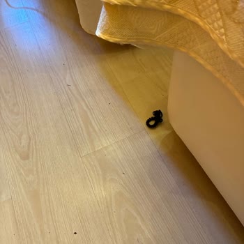 Vaat Edilen Oteller Ve Tur Programının Gerçekleşmemesi Nedeniyle Mağduriyet