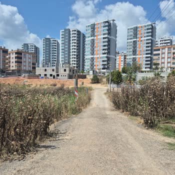 Altaylılar Mahallesi 02105 Sokak Ve Roof 14 Apartmanı Önündeki Dikenli Otlar Güvenlik Tehdidi