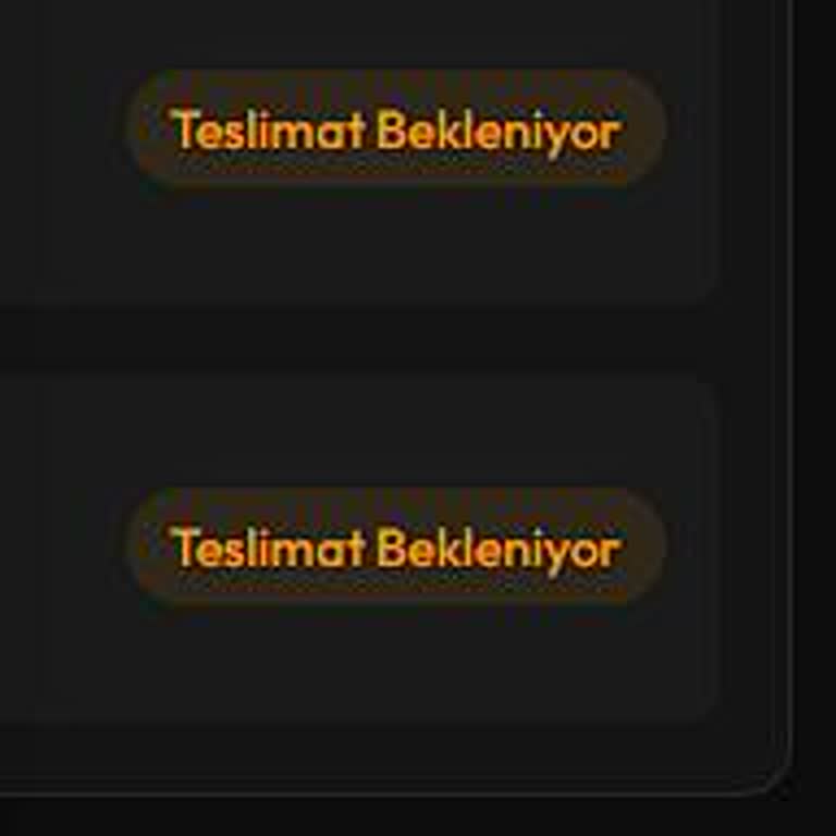 League Of Legends RP Ödeme Sorunu Ve Cevapsız Destek Talebi