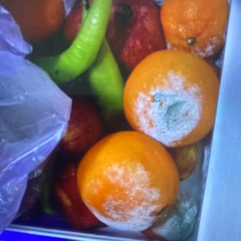 Arçelik Buzdolabının Ayıplı Olması Ve Gıda Kayıpları