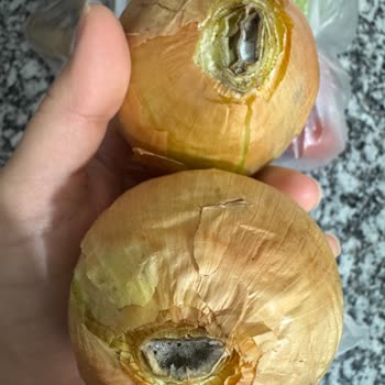 Migros Hemen'de Bozulmuş Taze Ürünler Ve Kalite Sorunu