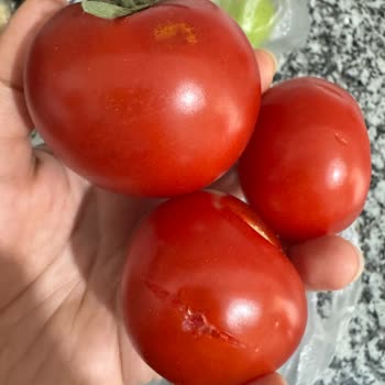 Migros Hemen'de Bozulmuş Taze Ürünler Ve Kalite Sorunu