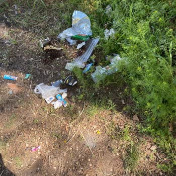 Van Edremit'teki DSİ Piknik Alanı Bakımsız Ve Kullanılamaz