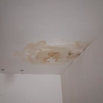 Mitratur Turunda Eski Otobüs Ve Hijyenik Olmayan Otel Şikayeti