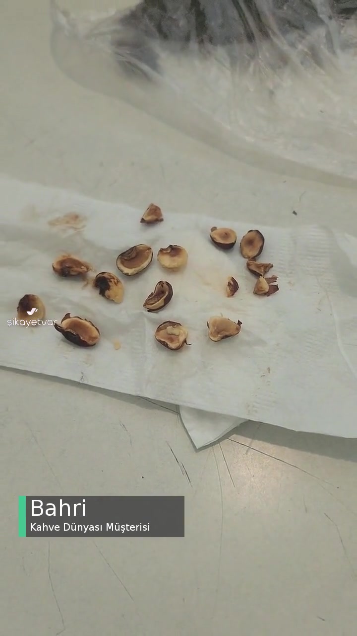 Kahve Dünyası Çikolata Bozuk, Bozuk Fındıklar! videonun kapak resmi
