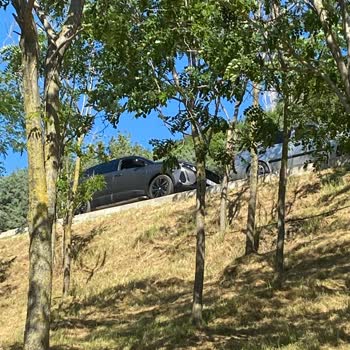 Güvenlik Görevlileri Tarafından Park Kurallarının Adaletsiz Uygulanması