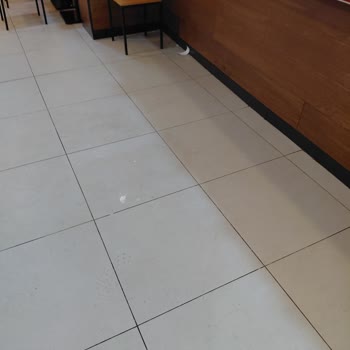 Ağrı Burger King Şubesinde Hijyen Sorunu Ve Çözüm Beklentisi