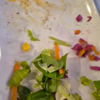 Aydın Turistik Park'ta Salata İçinde Canlı Böcek, Hijyen İhlali Ve Çalışanların Umursamaz Tutumu
