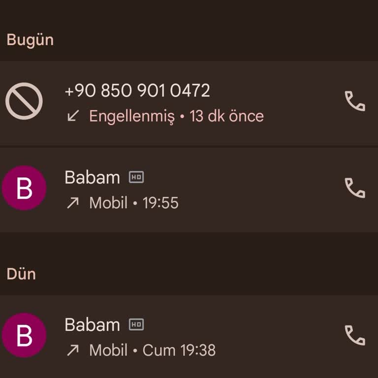 Şüpheli Ses Onayı Araması Ve Kişisel Bilgi Güvenliği İnceleme Talebi