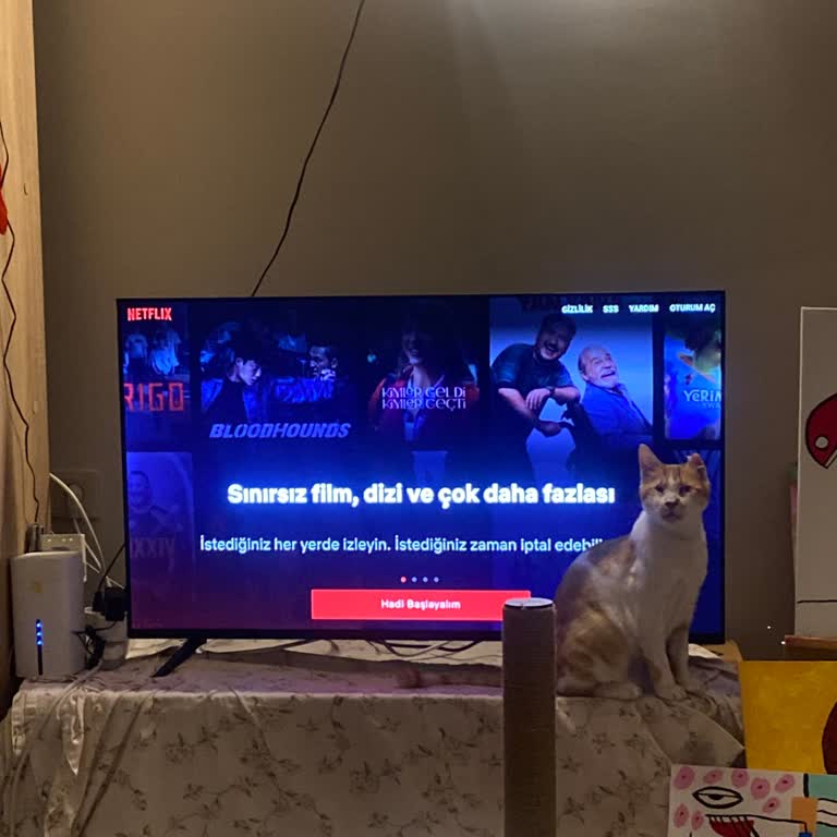 Peaq TV'de Netflix Uygulaması Başlatılamıyor