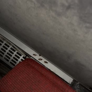 Otobüs İçinde Hamam Böcekleri Ve Çalışmayan Klima İçin Ücret İadesi Talebi