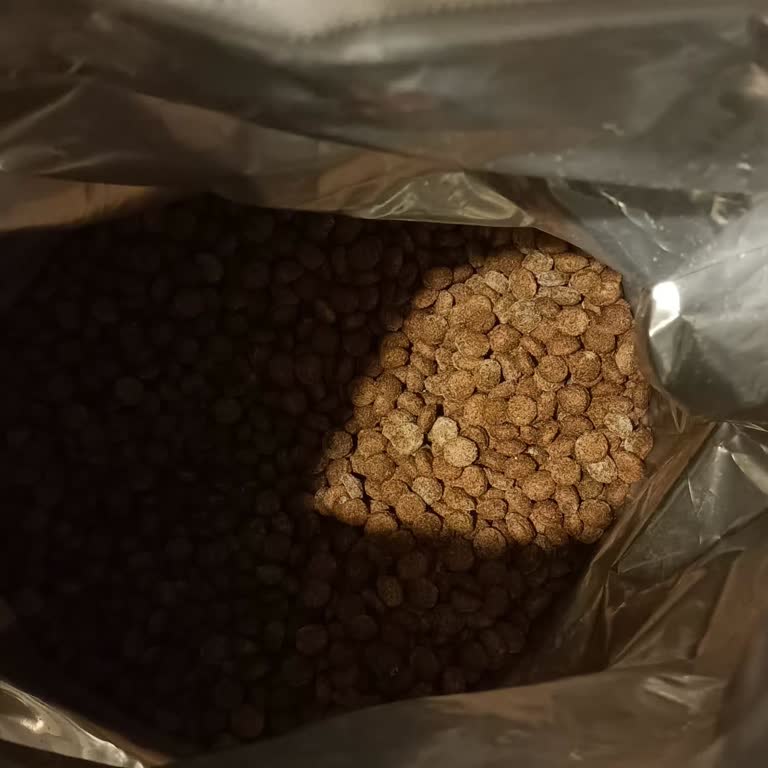 Küflü Mama Ve Cevapsız İletişim Güvenimi Sarsıyor