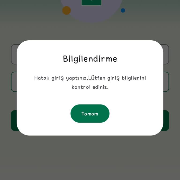 Telefon Numarası Güncellenmediği İçin Sistem Erişimi Engellendi