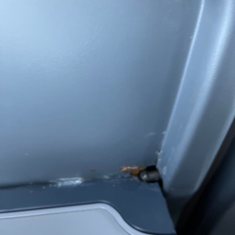 Bakımsız Otobüs Ve Cinsiyet Karışıklığı Güvenliğimizi Sarsıyor