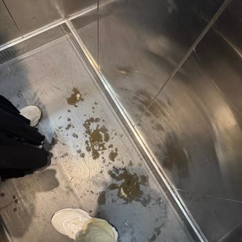 Gezimod Balkan Turunda Otel Ve Rehber Sorunları