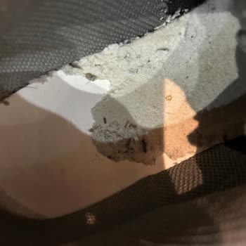 Skechers Ayakkabısının Topuk Malzemesi Eridi, Değişim Talebim Reddedildi