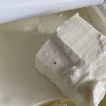 Süzme Peynirde Görülen Böcek Hijyen Sorunu Ve İade Talebi