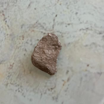 Simbat Kavrulmuş Yer Fıstığında Taş Bulunması