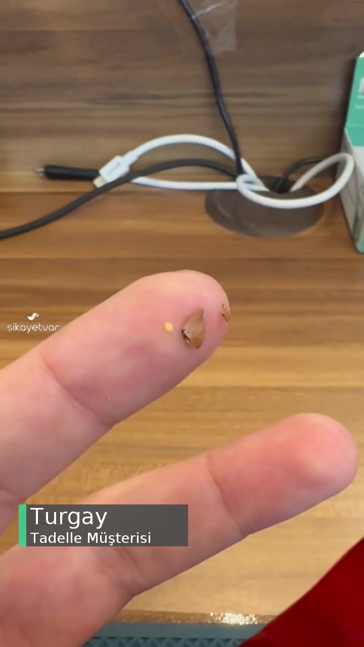 Tadelle Fındık Kabuğu Dolgumu Kırdı! videonun kapak resmi