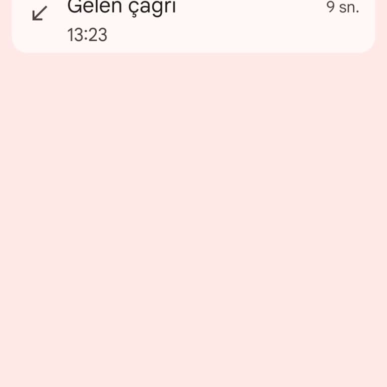 İzinsiz Arama Ve Tek Kelimelik ‘Evet’ Onayının Kötüye Kullanılması
