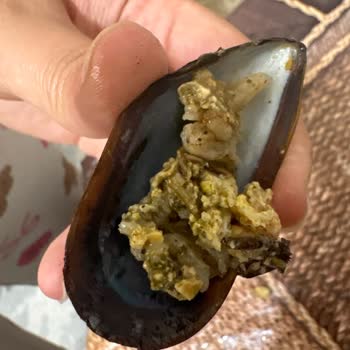 Bozuk Midye Siparişi İçin İade Reddi Ve Sağlık Endişesi