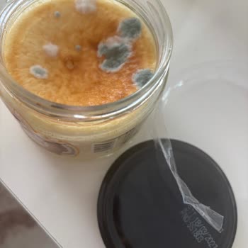 Uzun Son Kullanma Tarihli Coquette Cheesecake'inde Küf