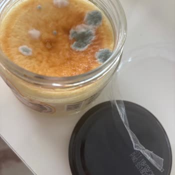 Uzun Son Kullanma Tarihli Coquette Cheesecake'inde Küf
