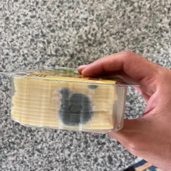 Marmaraereğlisi Migros’tan Gelen Küflü Tost Peyniri Sağlık Riski Ve Cevapsız Müşteri Hizmetleri