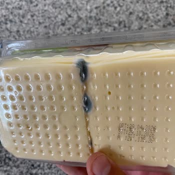 Marmaraereğlisi Migros’tan Gelen Küflü Tost Peyniri Sağlık Riski Ve Cevapsız Müşteri Hizmetleri