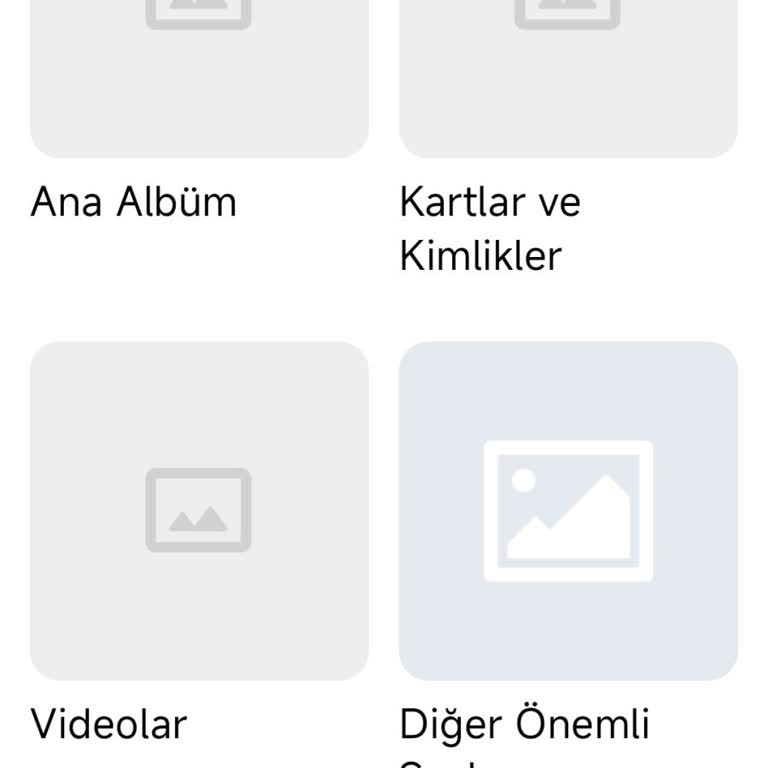 Yeni Telefonda Keepsafe Hesabımda Fotoğraf Ve Videolarım Geri Yüklenmedi