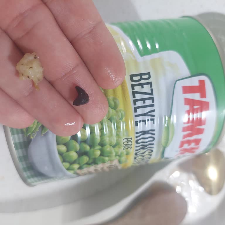 Tamek Konserve Bezelyede Plastik Parça Bulunması Sağlık Riski