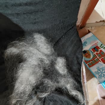 Saçları Dökülen Bebek Oyuncağı İçin Değişim Ve Özür Talebi