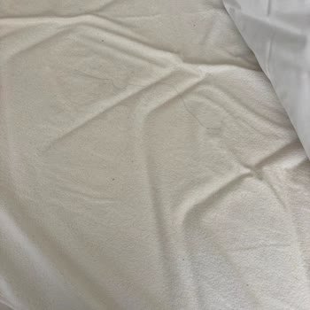 Booking.com Paris Apartment Was Dirty and Unfit for My Family