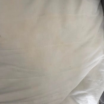 Booking.com Paris Apartment Was Dirty and Unfit for My Family